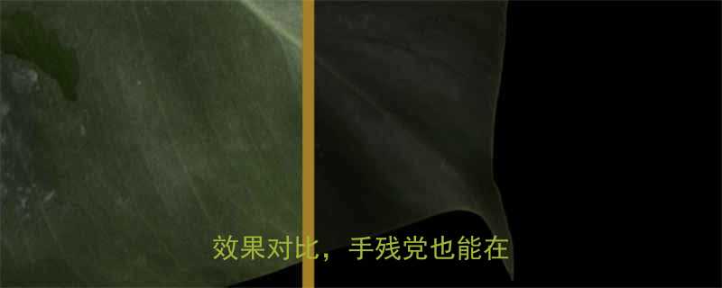 头发抛光是什么5大步骤效果对比手残党也能在家做