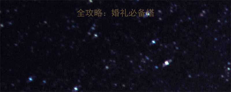 中长发伴娘发型全攻略婚礼必备搭配技巧与造型指南