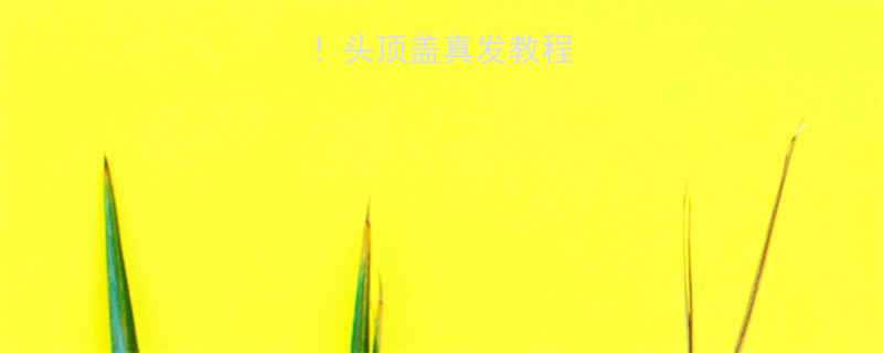 卷发造型必看头顶盖真发教程及注意事项全