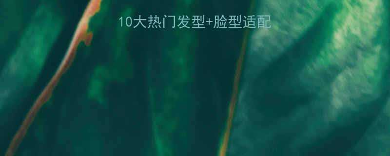 最新发型设计趋势10大热门发型脸型适配指南附护理技巧