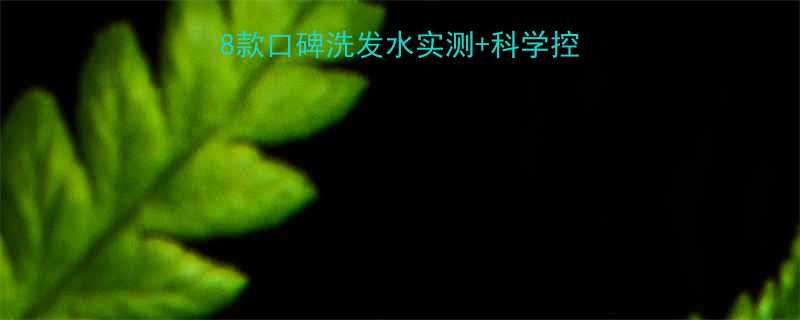 油性头发护理全攻略8款口碑洗发水实测科学控油指南附清洁周期表