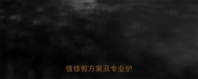 泰迪犬造型指南5大高颜值修剪方案及专业护理技巧