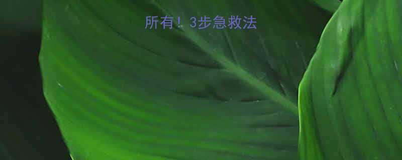 刘海一翘毁所有3步急救法拯救炸毛刘海